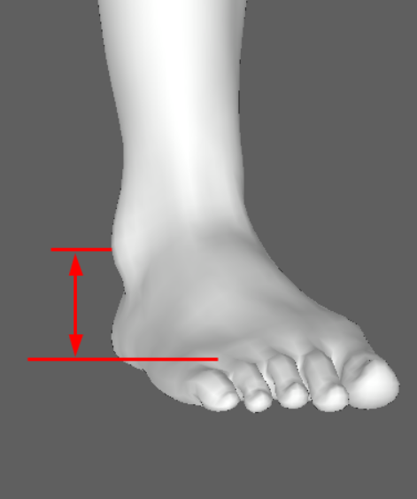 outer ankle height