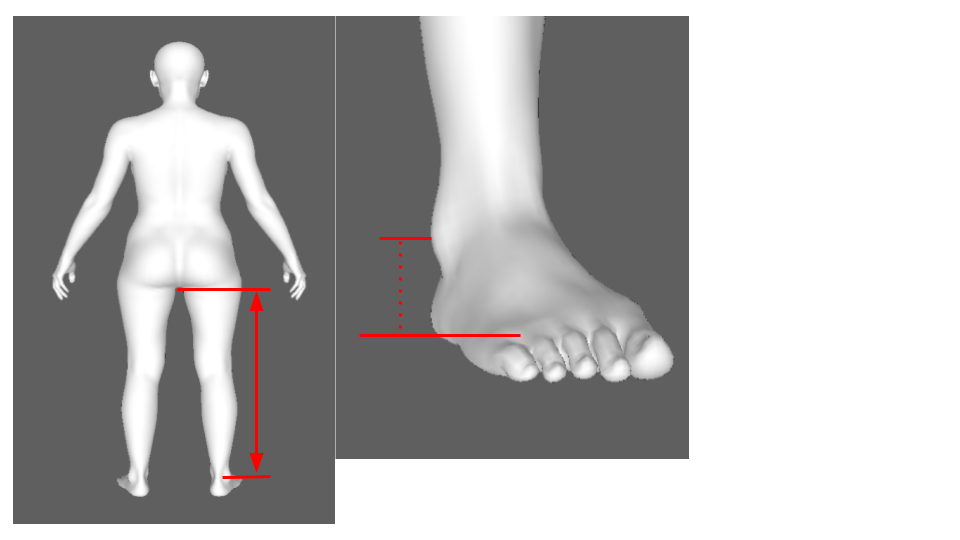 inside leg length